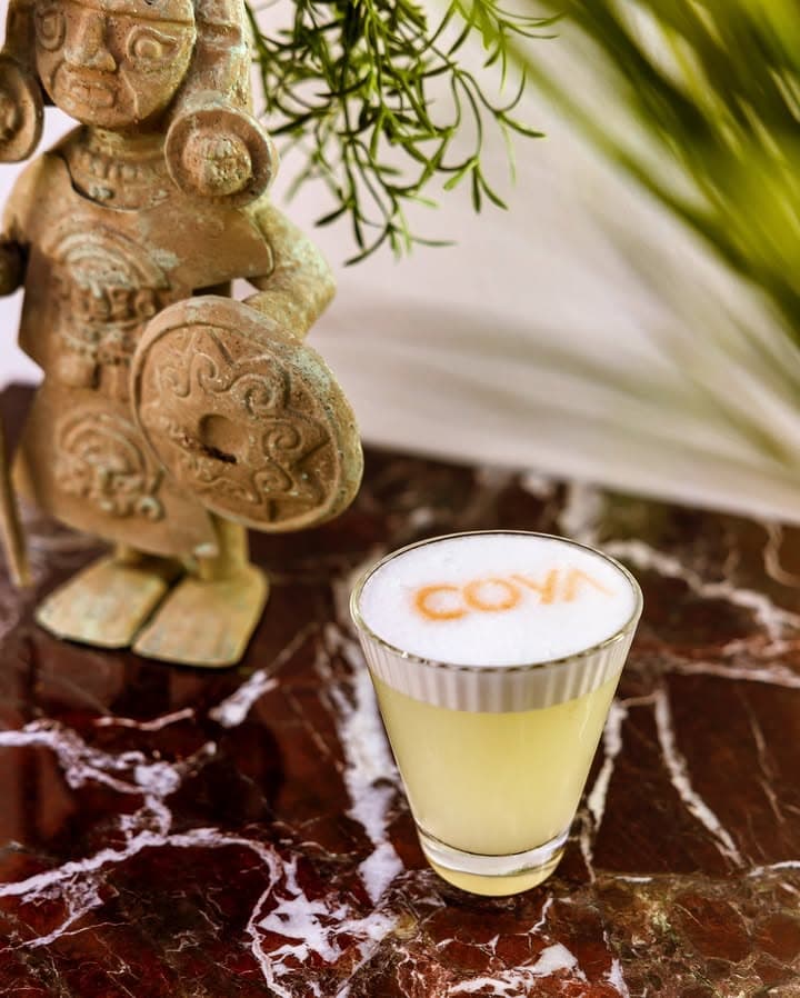 coya-9 5